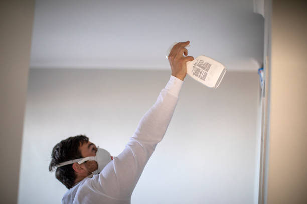 National City, CA Mold Removal Company