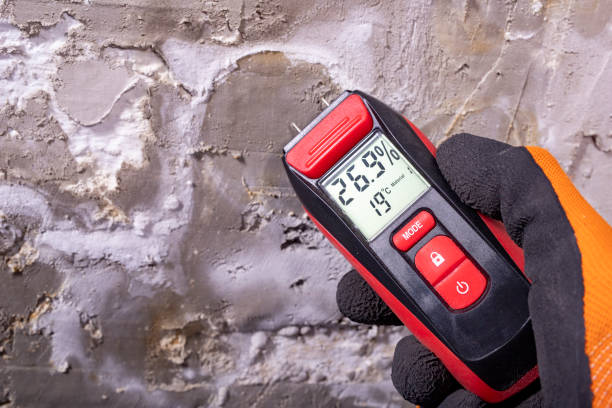 Best Mold Testing  in National City, CA